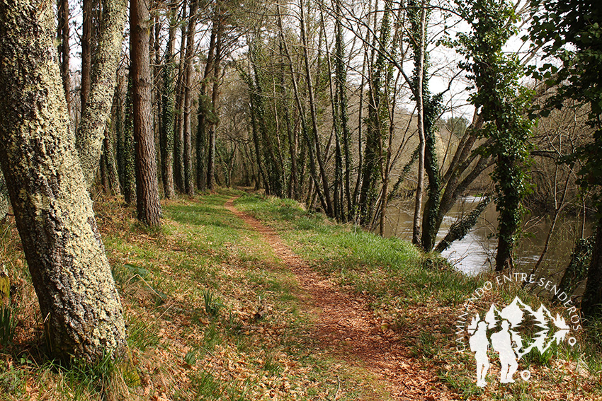 Ruta do Tambre (Sigüeiro)
