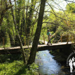 Paseo fluvial Río Sarela (Santiago)