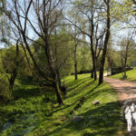 Paseo fluvial Río Sarela (Santiago)