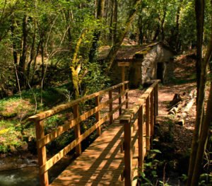 Muiños do río das Gándaras (Vilasantar)