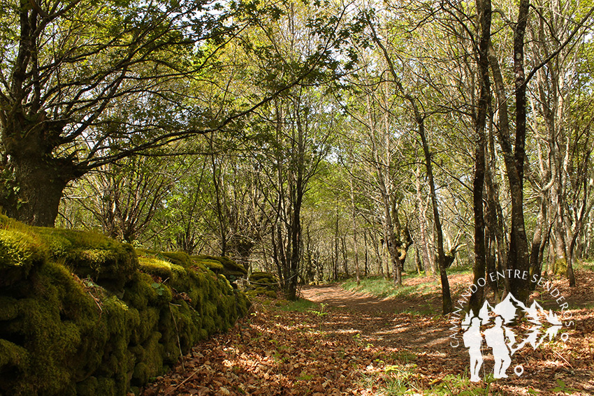 Castro de Bendoiro