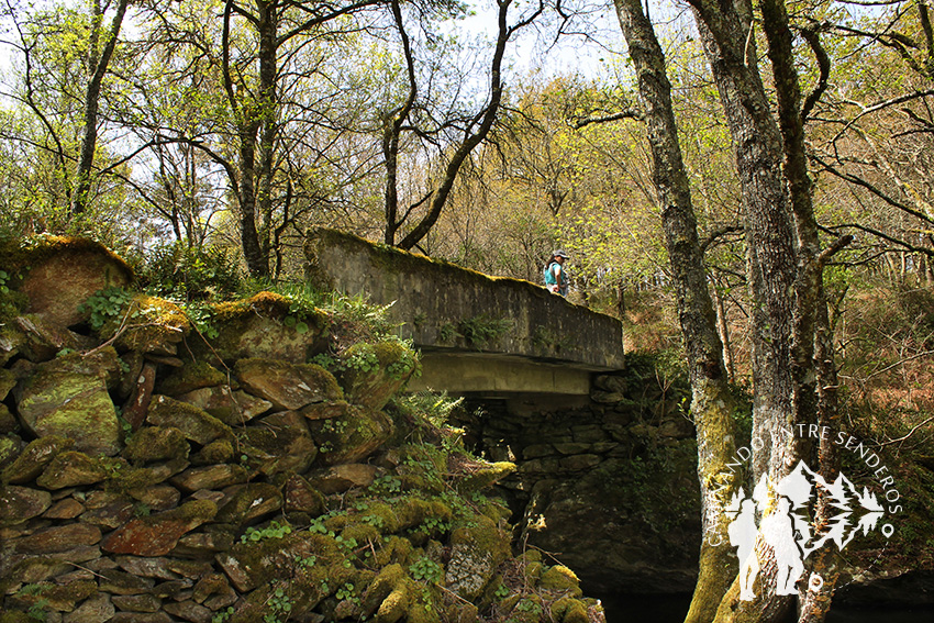 Puente río Asneiro