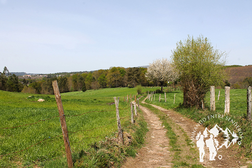 Camino hacia Fervenza da Grifa (Lalín)