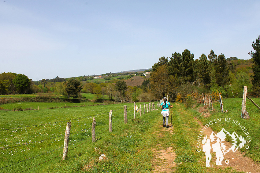 Camino hacia Fervenza da Grifa (Lalín)