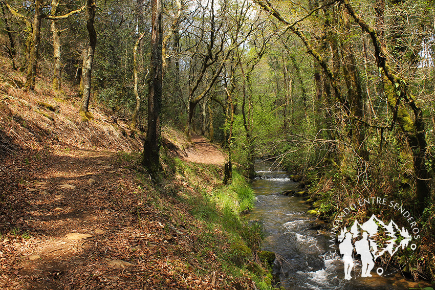 Río das Gándaras