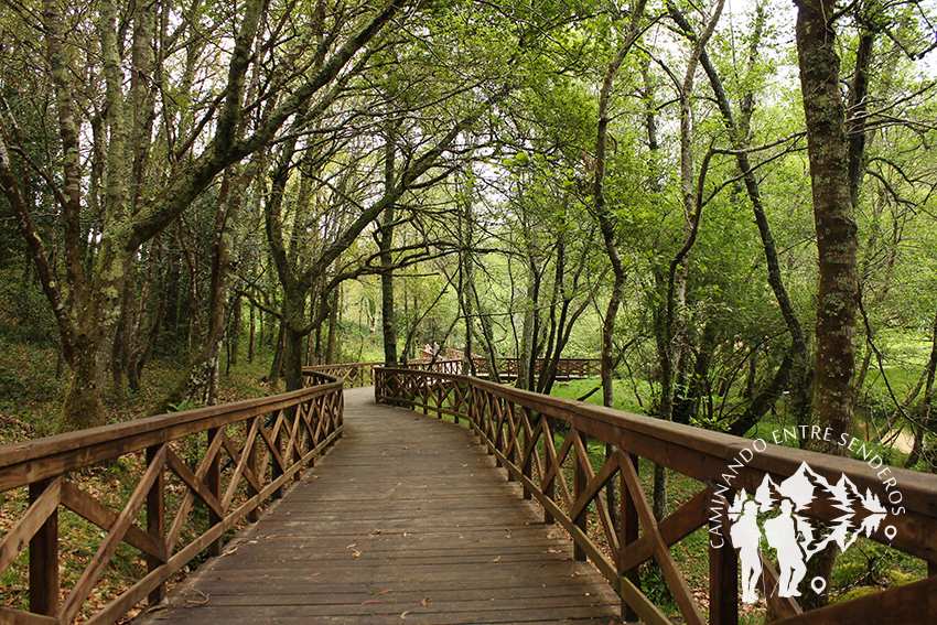 Paseo fluvial Río Anllóns (Laracha)