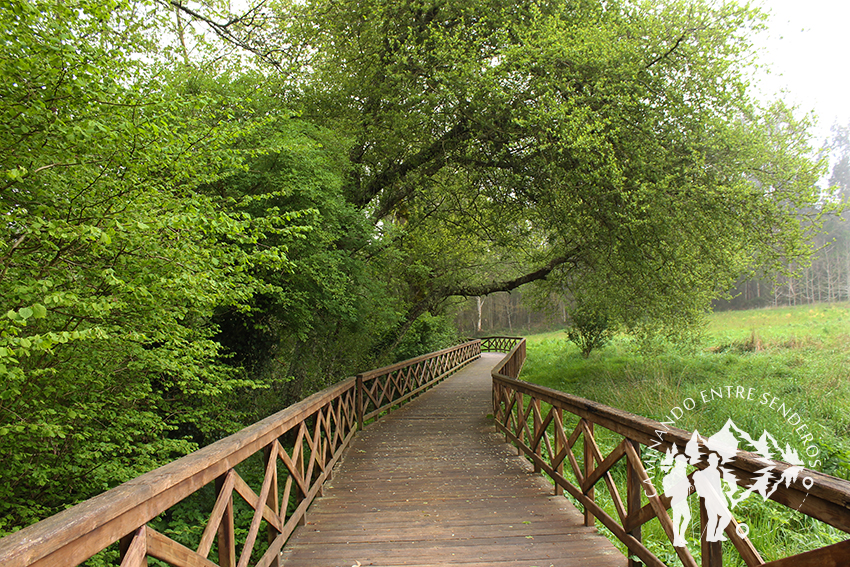 Paseo fluvial Río Anllóns (Laracha)