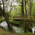 Paseo fluvial Río Anllóns (Laracha)