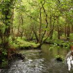 Paseo fluvial Río Anllóns (Laracha)
