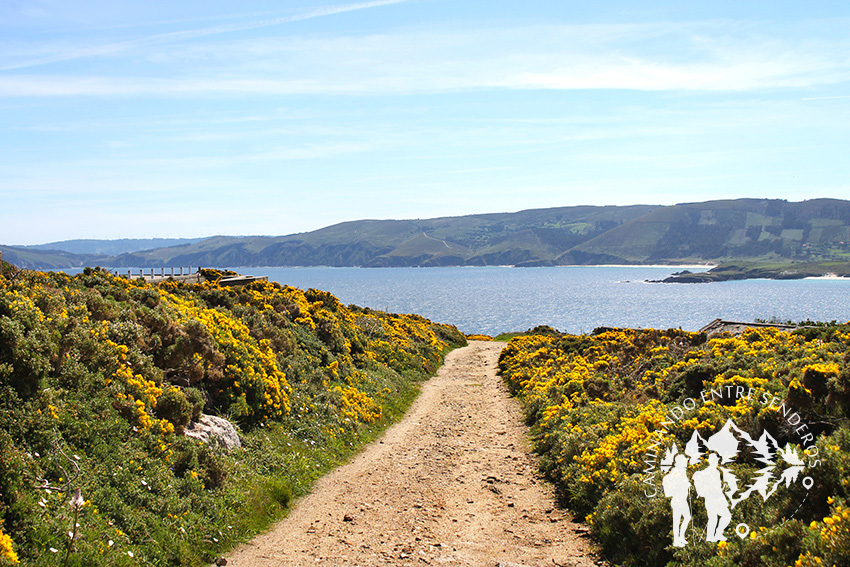 Ruta do Cabo Prior (Ferrol)