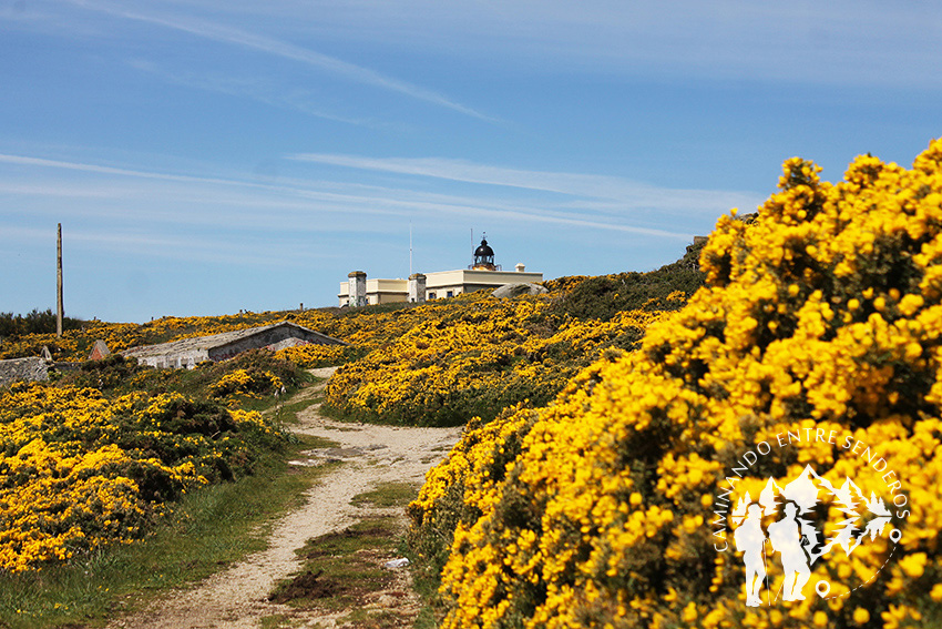 Ruta do Cabo Prior (Ferrol)