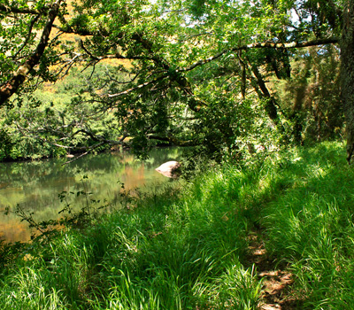 Devesa de Anllares río Xallas (Vimianzo)