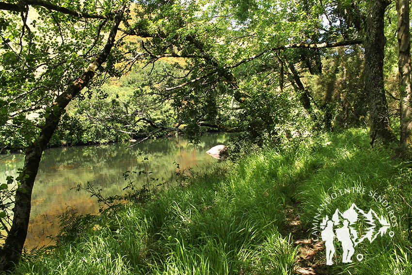 Devesa de Anllares río Xallas (Vimianzo)