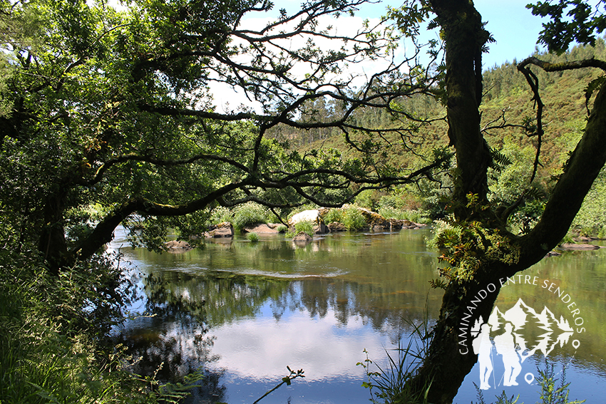 Devesa de Anllares río Xallas (Vimianzo)