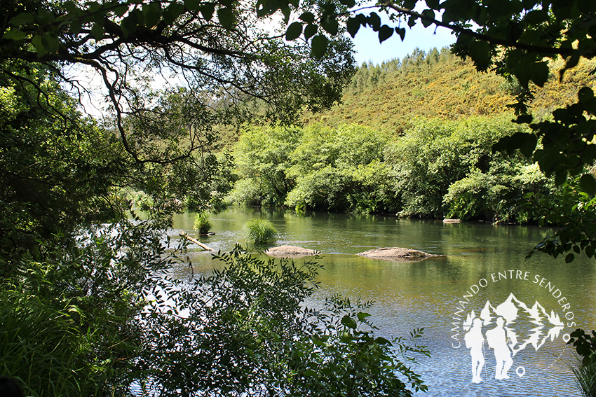 Devesa de Anllares río Xallas (Vimianzo)