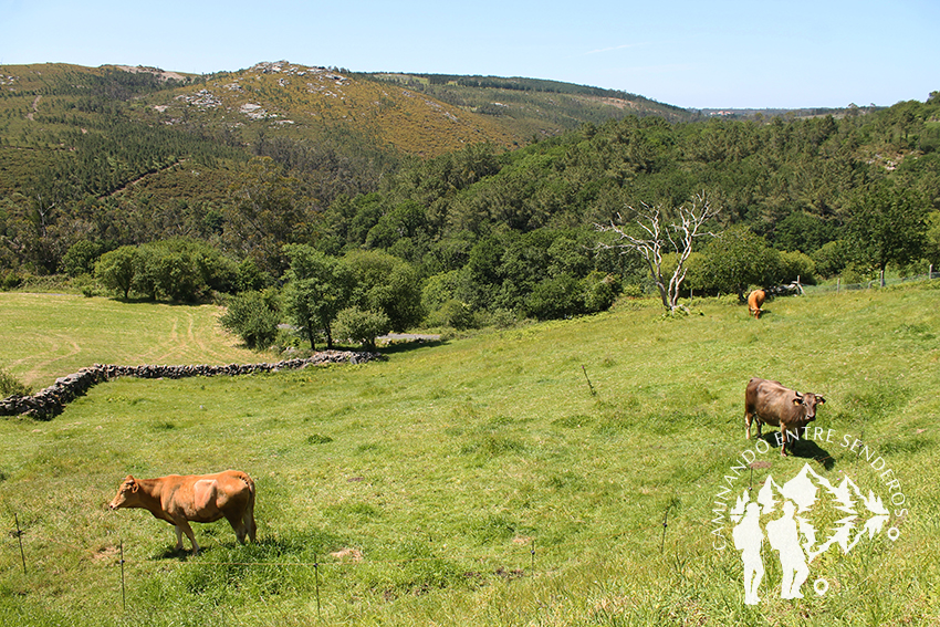 Devesa de Anllares río Xallas (Vimianzo)
