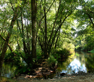 Ruta Ínsuas das Areas (Pontevea)