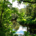 Ruta Río Masma (Barreiros)