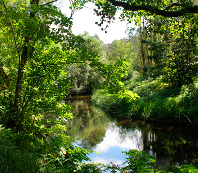 Ruta Río Masma (Barreiros)