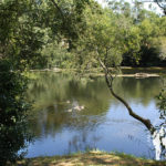 Playa fluvial de Pontevea