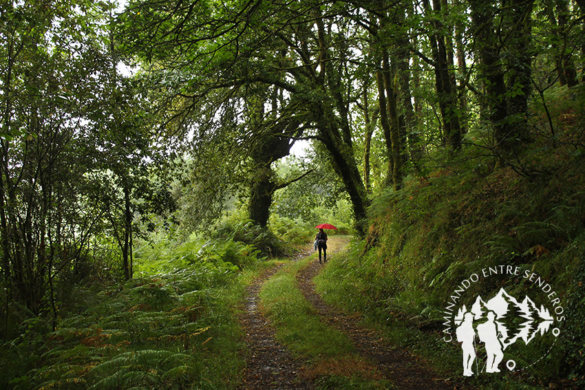 Ruta da Lamprea (Brión)