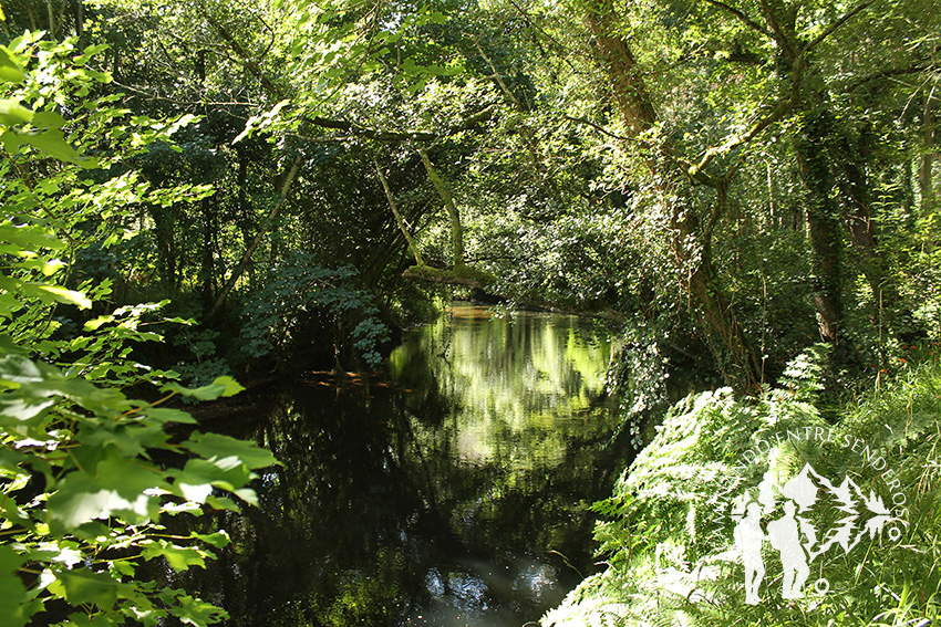 Río Masma (Barreiros)