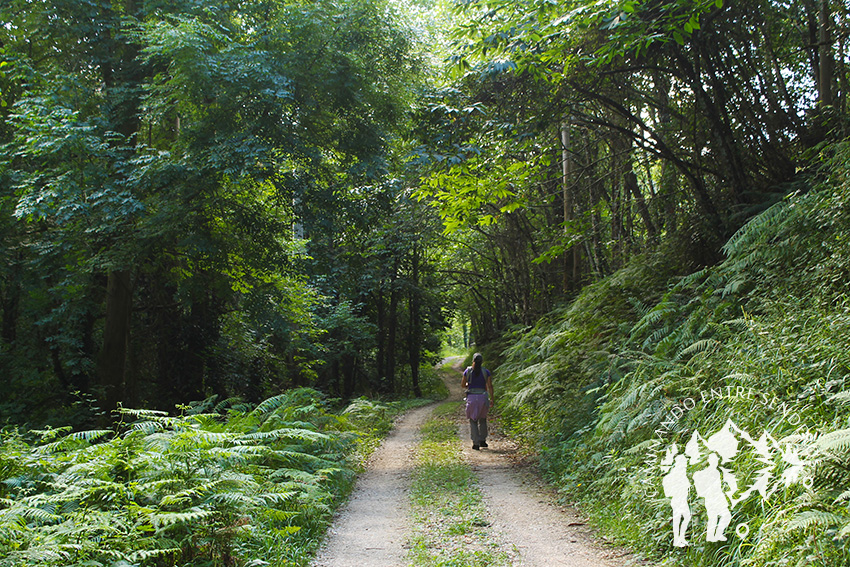 Ruta Río Masma (Barreiros)