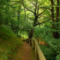 Área recreativa Mestas (Asturias)