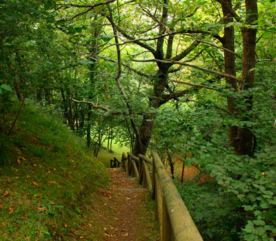 Área recreativa Mestas (Asturias)