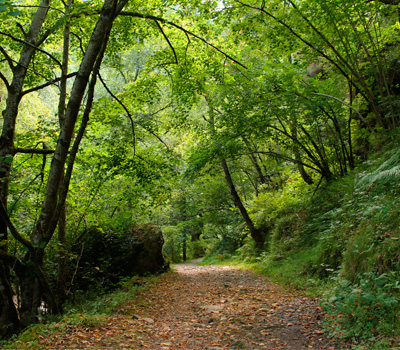 PR.AS 62 Ruta del Alba (Asturias)