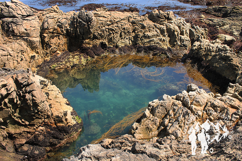 Ruta Faro Roncudo (Corme)