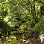 Ruta río Eifonso PR-G5 (Bembrive)