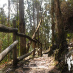 Pasarela Pozo do Inferno