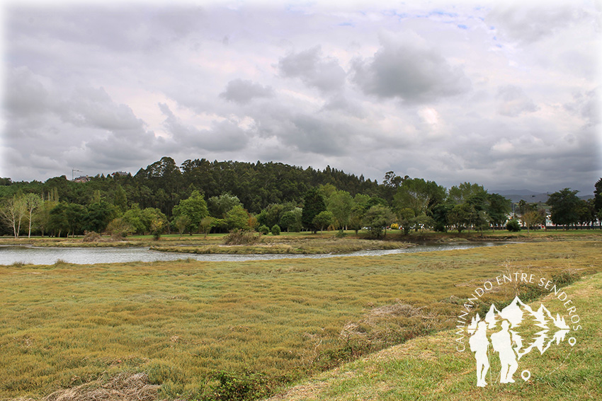 Ría de Navia