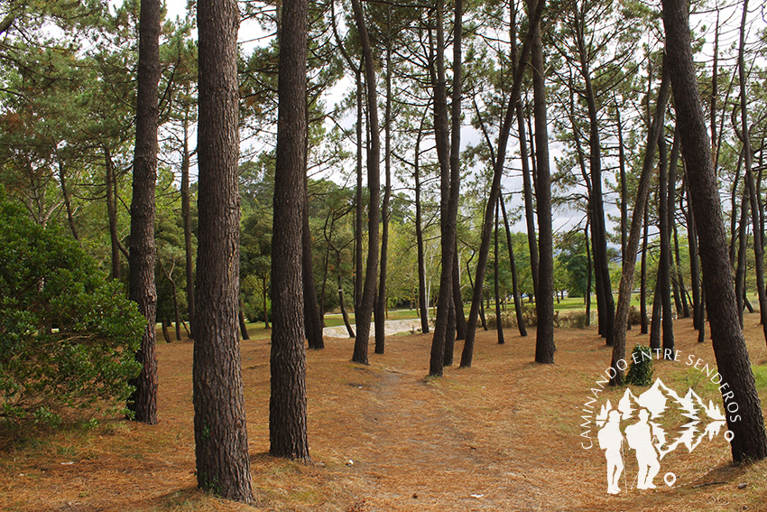 Parque forestal ría de Navia