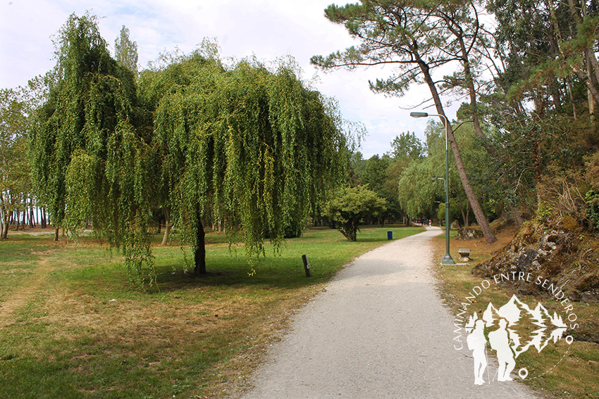 Parque forestal ría de Navia