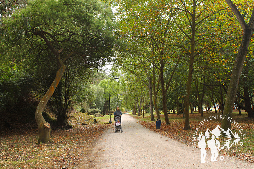 Parque forestal ría de Navia