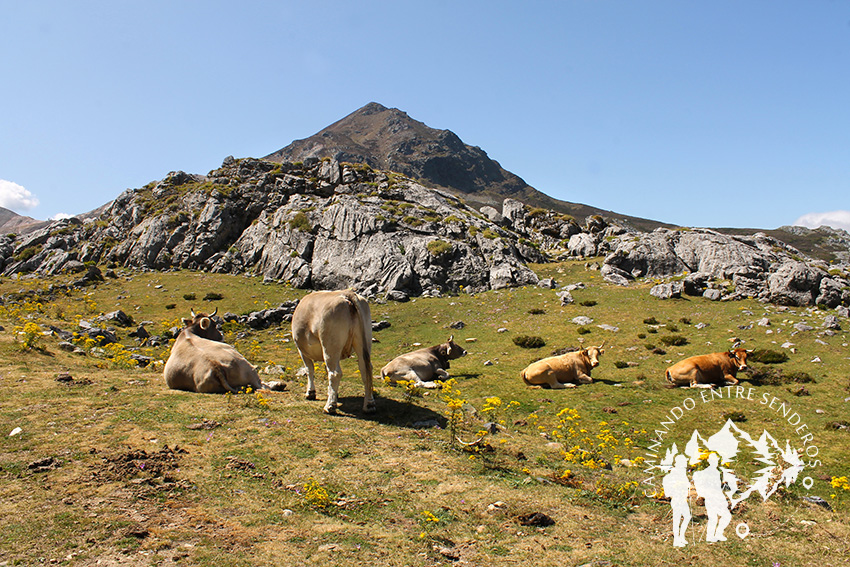 Valle Requexón