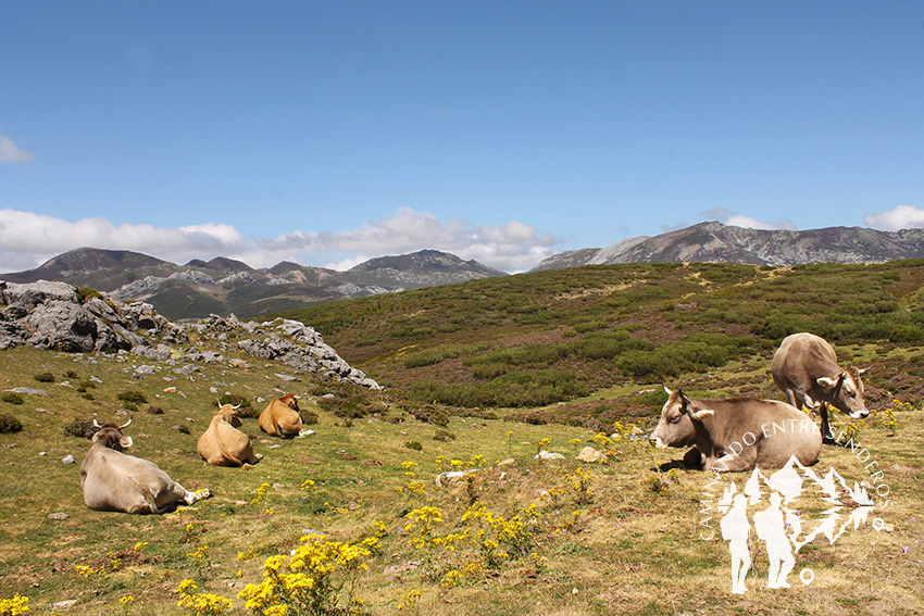 Valle Requexón