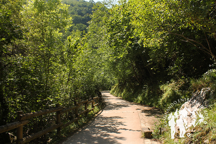 PR.AS 62 Ruta del Alba (Asturias)