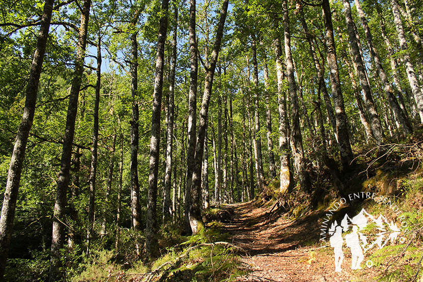 Valle de La Candanosa