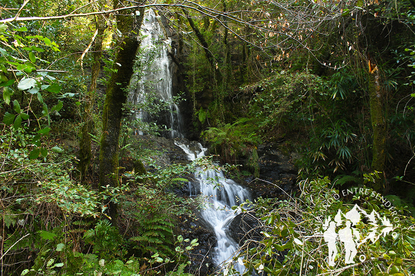 Fervenza de Codeso