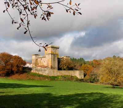 Castillo Pambre (Palas de Rei)