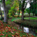 Paseo fluvial río Miño (Meira)