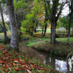 Paseo fluvial río Miño (Meira)