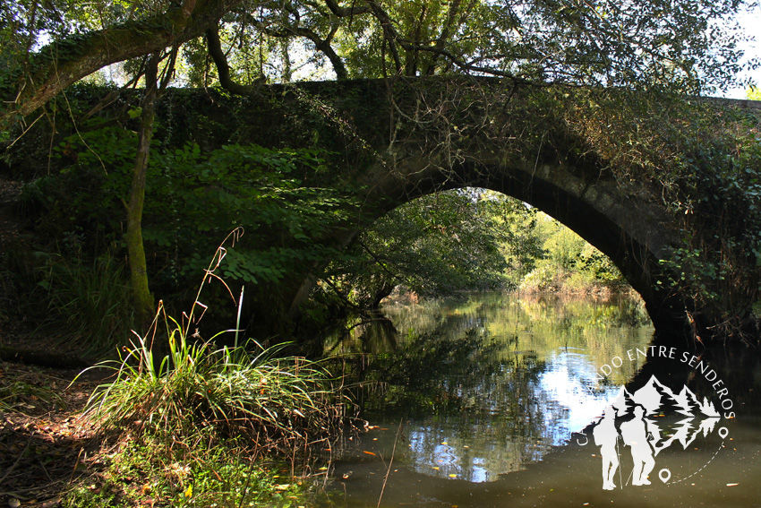 Ponte do Porco