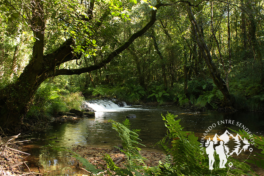 Río Lambre