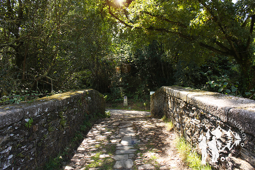 Ponte do Porco