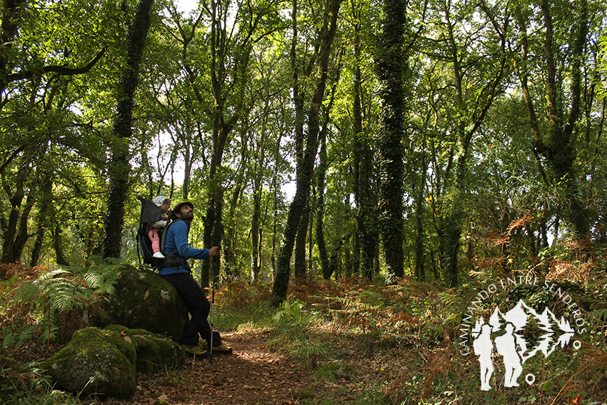 Bosque da Fervenza (O Corgo)