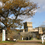 Castillo Pambre (Palas de Rei)